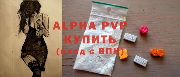 спиды Гусев