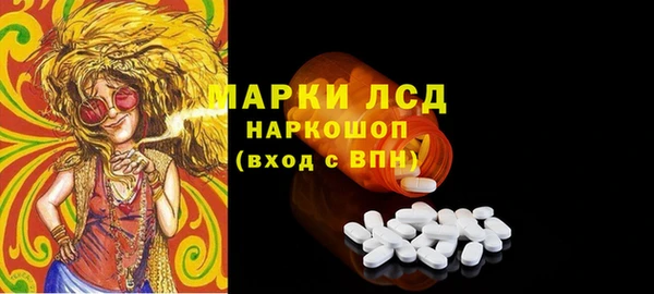 спиды Гусев