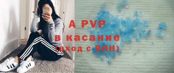 спиды Гусев